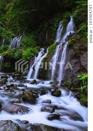 吐竜の滝 103904787