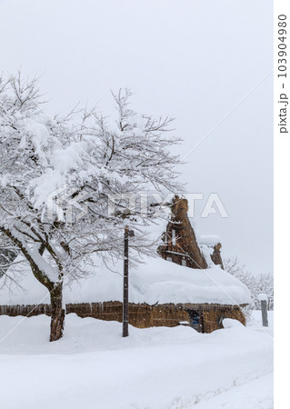 富山_積雪する五箇山合掌集落の風景 103904980