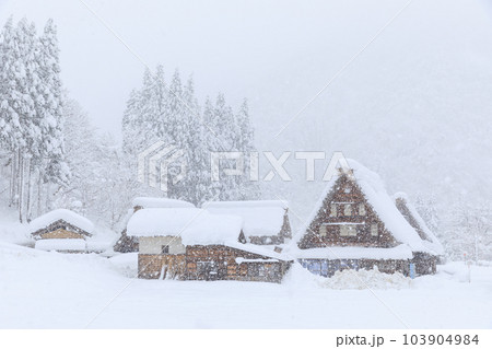 富山_積雪する五箇山合掌集落の風景 富山_積雪する五箇山合掌集落の風景 103904984