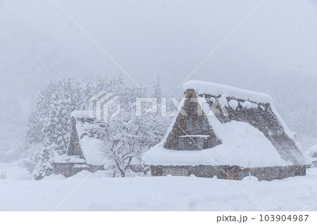 富山_積雪する五箇山合掌集落の風景 103904987