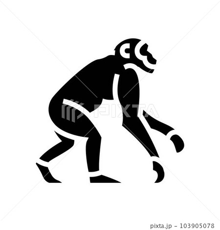 primate ancestors human evolution glyph icon vector illustration 103905078