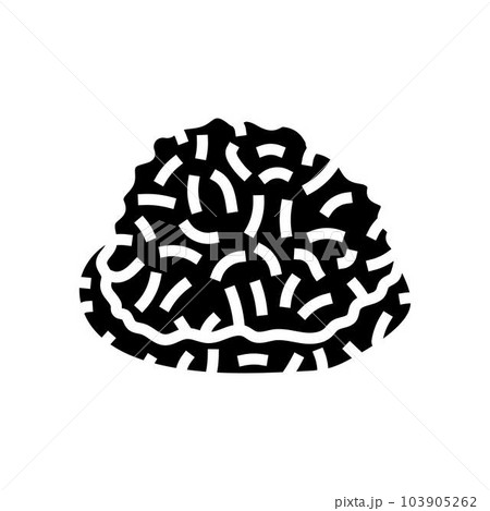 coconut macaroons sweet food glyph icon vector illustration coconut macaroons sweet food glyph icon vector illustration 103905262