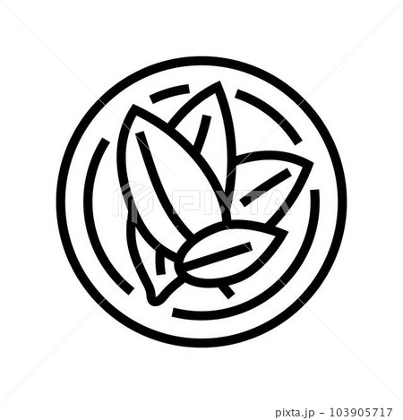bay leaf cosmetic plant line icon vector illustration 103905717