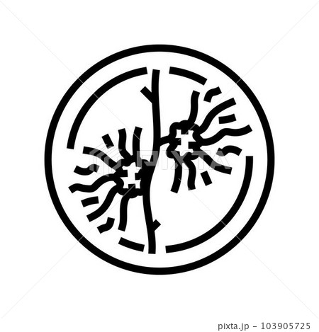witch hazel cosmetic plant line icon vector illustration 103905725