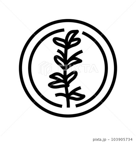 thyme cosmetic plant line icon vector illustration 103905734