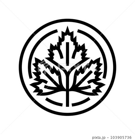 cilantro cosmetic plant line icon vector illustration 103905736