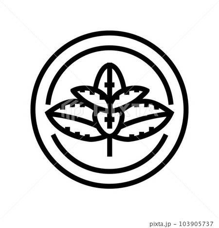mint cosmetic plant line icon vector illustration mint cosmetic plant line icon vector illustration 103905737