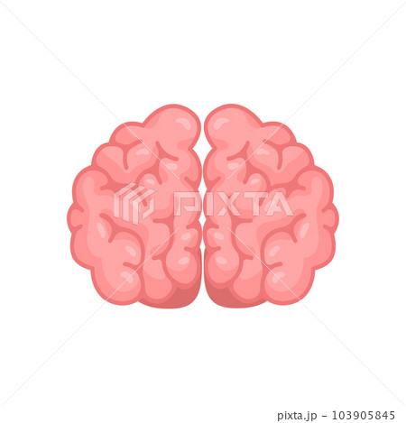 Human brain jagged. The concept of developing learning and creativity skills. 103905845