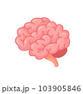 Human brain jagged. The concept of developing learning and creativity skills. 103905846