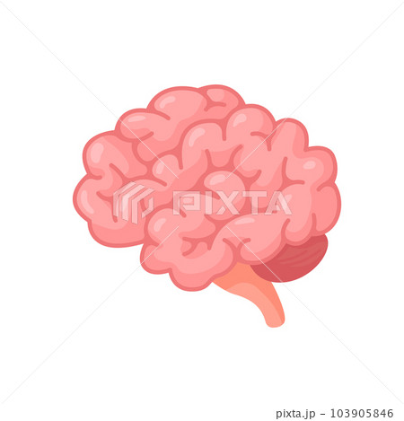 Human brain jagged. The concept of developing learning and creativity skills. 103905846