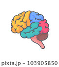 Human brain jagged. The concept of developing learning and creativity skills. 103905850