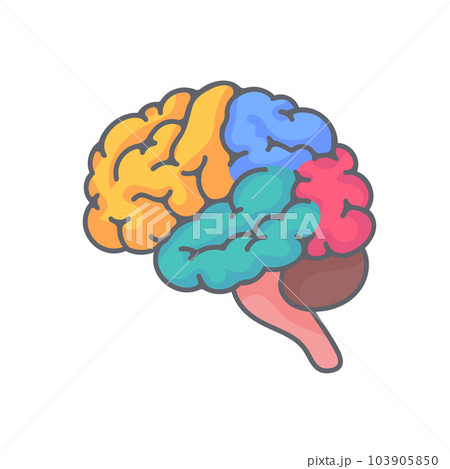 Human brain jagged. The concept of developing learning and creativity skills. 103905850