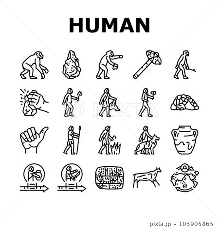human evolution man caveman icons set vector human evolution man caveman icons set vector 103905865