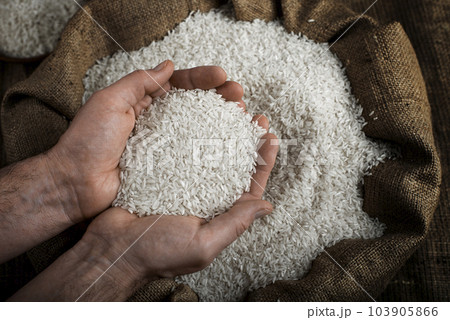 Human hands holding handful of rice over burlap sack 103905866