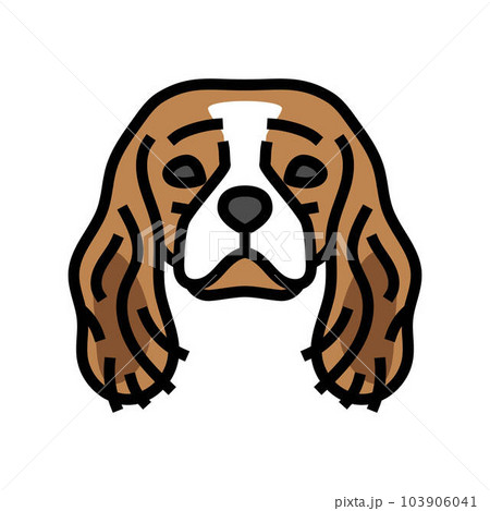 cavalier king charles spaniel dog puppy pet color icon vector illustration 103906041