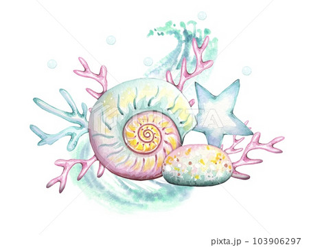 Sea composition with shell, seaweed, stone, watercolor illustration 103906297