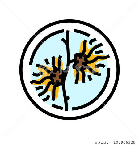 witch hazel cosmetic plant color icon vector illustration 103906329