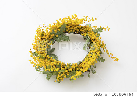 ミモザの花のリース 103906764