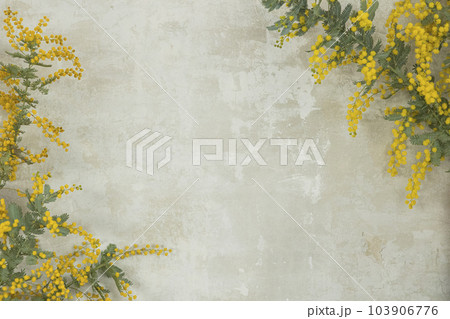 ミモザの花の背景フレーム 103906776