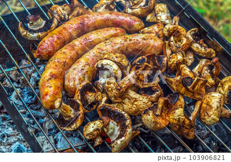 Assorted delicious grilled meat over the coals on a barbecue 103906821
