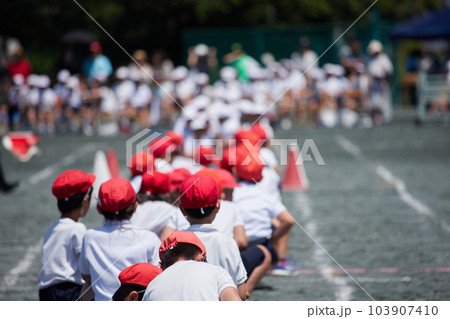 小学校の運動会で綱引きをしている学生達 103907410