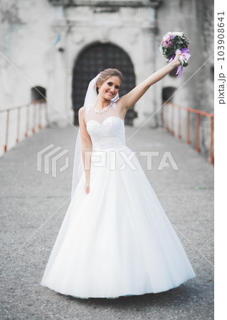 Beautiful luxury bride in elegant white dress Beautiful luxury bride in elegant white dress 103908641