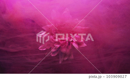 Flower smoke. Ink water. Underwater blossom. Nature fragrance. Pink color blooming daisy petals in glitter mist floating abstract art background. 103909027