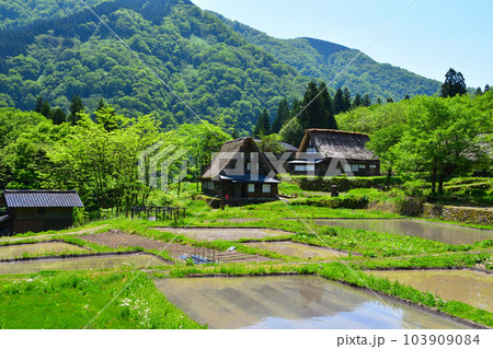 五箇山 相倉集落 五箇山 相倉集落 103909084