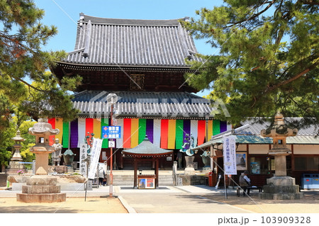【香川県】四国霊場「第75番札所」総本山善通寺（本堂、金堂） 103909328