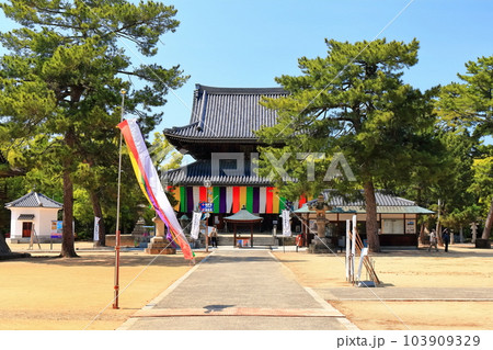 【香川県】四国霊場「第75番札所」総本山善通寺(本堂、金堂) 【香川県】四国霊場「第75番札所」総本山善通寺(本堂、金堂) 103909329