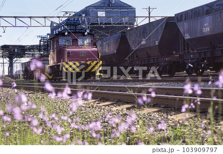 大牟田の三池炭鉱を駆け抜けた懐かしの電気機関車 103909797