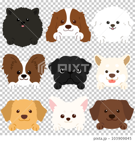 Simple and cute face set of various dogs C with front legs no main lines 103909845