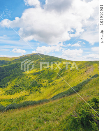 green mountain landscape. popular travel destination of ukraine. warm summer forenoon 103910981