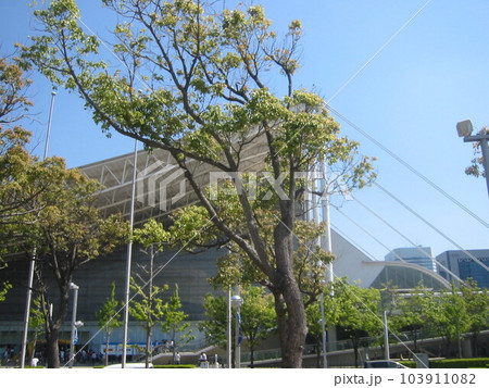 2013年・千葉県・幕張・風景・其の二 103911082