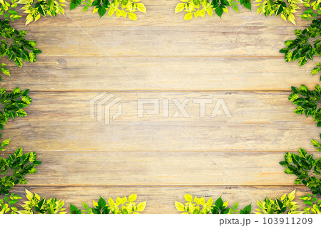 Top view green leaves on the old wooden background 103911209