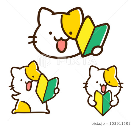 初心者マークを持つかわいいねこのデフォルメイラストセット 初心者マークを持つかわいいねこのデフォルメイラストセット 103911505
