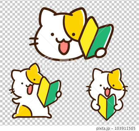 初心者マークを持つかわいいねこのデフォルメイラストセット 初心者マークを持つかわいいねこのデフォルメイラストセット 103911505