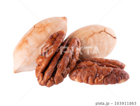 Pecan nuts isolated on white background. Shelled and unshelled pecan. Clipping path. Pecan nuts isolated on white background. Shelled and unshelled pecan. Clipping path. 103911863