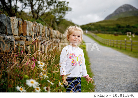 Cute little happy toddler girl running on nature path in Connemara national park in Ireland. Smiling and laughing baby child having fun spending family vacations in nature. Traveling with small kids 103911946