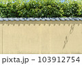 初夏の白壁と緑 103912754