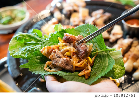 韓国 朝鮮 コリア 103912761