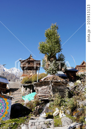Chitkul Fort, ChitkulVillage, Sangla, Himachal Pradesh, India 103913113