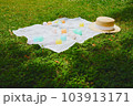 屋外 野外 アウトドア 103913171