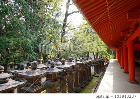 奈良春日大社 世界遺産 奈良春日大社 世界遺産 103913237