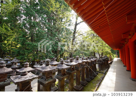 奈良春日大社 世界遺産 奈良春日大社 世界遺産 103913239