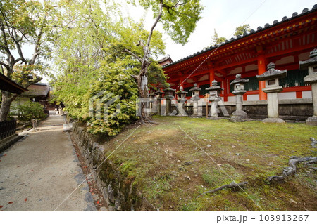 奈良春日大社 世界遺産 奈良春日大社 世界遺産 103913267