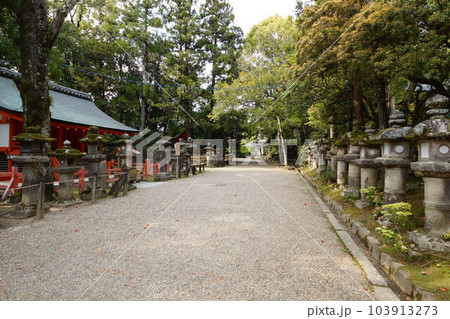 奈良春日大社 世界遺産 奈良春日大社 世界遺産 103913273