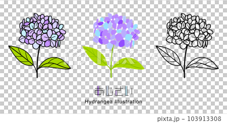 Hydrangea flowers and leaves, Japanese lettering design. vector icon set illustration material 103913308