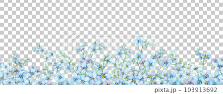 Blue forget-me-nots seamless border. Summer flowers Scorpion Grass, Myosotis. Hand draw watercolor illustration. Endless banner for packaging, textile, web pages, wedding invitations, greeting cards 103913692