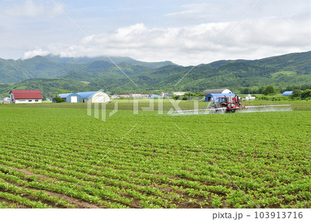 初夏の北海道今金町でビート畑の防除作業の風景を撮影 初夏の北海道今金町でビート畑の防除作業の風景を撮影 103913716